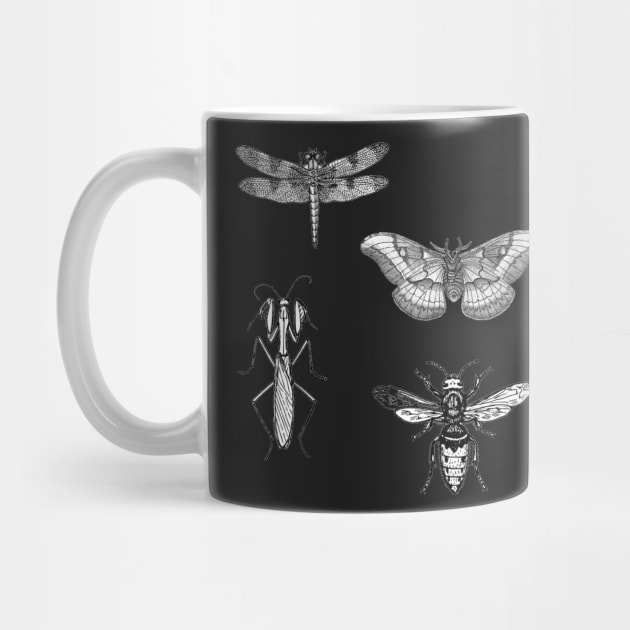 Insect Bug Collection With Honeybee, Tarantula, Mantis, Moth, Dragonfly by julyperson